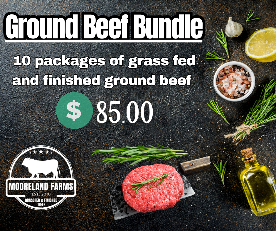 10 Pound Ground Beef Stock up