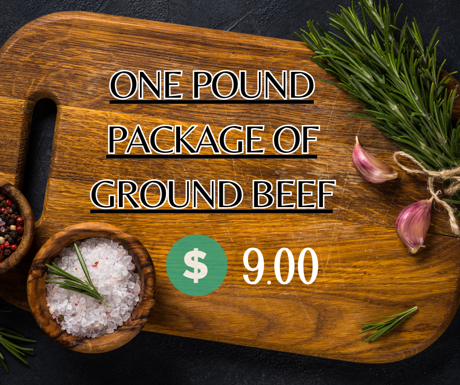 1 Pound Package of Ground Beef