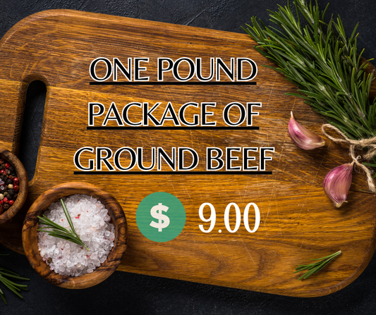 1 Pound Package of Ground Beef